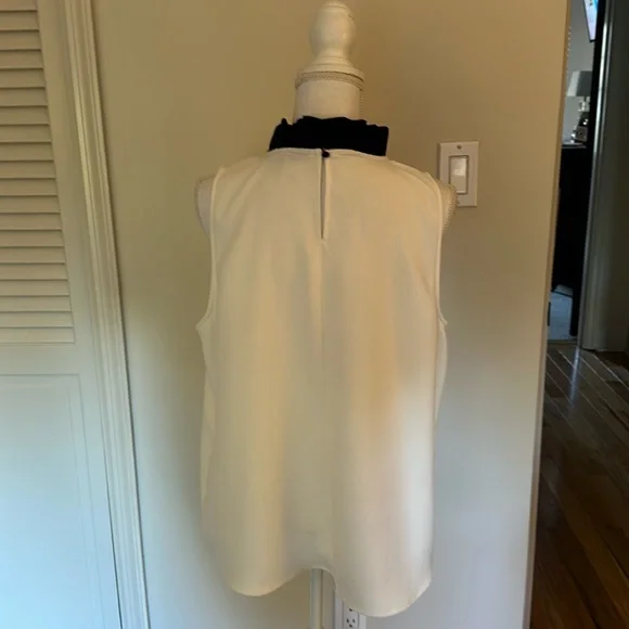 Classic Shell - Picture 4 of 5